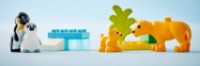 Конструктор Lego Duplo: Wild Animal Families: Penguins & Lions (10442) фото №7 — интернет-магазин Desire.md