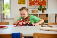 Конструктор Lego Minecraft: The Mooshroom House (21270) фото №6 — интернет-магазин Desire.md