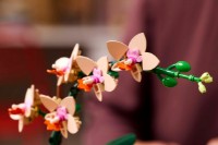 Set de construcție Lego The Botanical Collection: Mini Orchid (10343) imaginea #5 — magazin online Desire.md