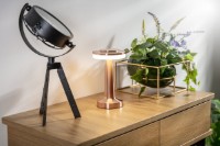 Настольная лампа GTV LB-MON3W-41-DEC фото №2 — интернет-магазин Desire.md