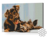 Pictura cu diamante după numere Art Gallery Premium Cățel și motan XQB75383