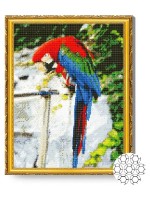 Pictura cu diamante după numere Art Gallery Premium Papagal minunat GA82798