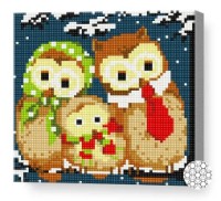 Алмазная картина по номерам Art Gallery Premium Семья совушек BJ425 фото №1 — интернет-магазин Desire.md