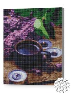 Pictura cu diamante după numere Art Gallery Premium Сирень и кофе XQB77252 imaginea #1 — magazin online Desire.md