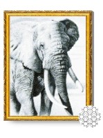 Pictura cu diamante după numere Art Gallery Premium Elefant GA77785