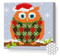 Pictura cu diamante după numere Art Gallery Premium Bufniță în vestă BJ418