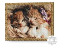 Pictura cu diamante după numere Art Gallery Premium Motănași adormiți QB205257 imaginea #1 — magazin online Desire.md