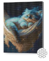 Алмазная картина по номерам Art Gallery Premium Спящий котик XQB84418 фото №1 — интернет-магазин Desire.md