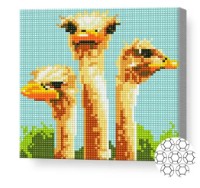 Pictura cu diamante după numere Art Gallery Premium Struți BJ415