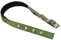 Ошейник Ferplast Daytona C20/43 (F21256) фото №1 — интернет-магазин Desire.md