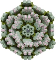 Мозайка Hama ART Succulents 6000pcs)3622) фото №4 — интернет-магазин Desire.md