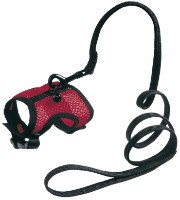 Ham Beeztees Comfort (730284)