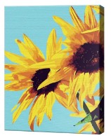 Tablou pe numere Art Gallery Premium Floarea soarelui și cer turcoaz EX8221