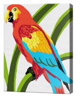 Tablou pe numere Art Gallery Premium Papagal CX3483