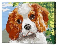 Tablou pe numere Art Gallery Premium Privirea devotată CX3622 imaginea #1 — magazin online Desire.md