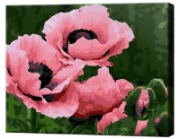 Картина по номерам Art Gallery Premium Розовые цветы EX7566 фото №1 — интернет-магазин Desire.md