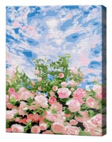 Tablou pe numere Art Gallery Premium Tufiș de trandafir și cerul EX8400
