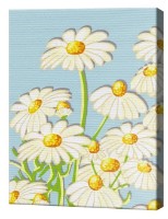 Tablou pe numere Art Gallery Premium Romănițe CX3488