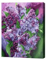 Tablou pe numere Art Gallery Premium Liliac minunat GX29389 imaginea #1 — magazin online Desire.md