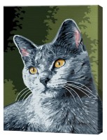 Tablou pe numere Art Gallery Premium Pisică gri CX3741