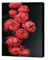 Tablou pe numere Art Gallery Premium Bujori aramii GX47220 imaginea #1 — magazin online Desire.md