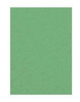 Обложка для переплета Forofis A4 100pcs 91486 Green фото №1 — интернет-магазин Desire.md