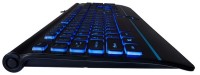 Tastatură Tracer Office Pro USB imaginea #4 — magazin online Desire.md