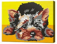 Tablou pe numere Art Gallery Premium Cățeluș york CX3001