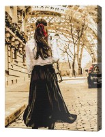 Картина по номерам Brushme Дама на улицах Парижа BS52368 фото №1 — интернет-магазин Desire.md