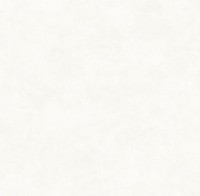 Обои Victoria Stenova 286752 Da vinci