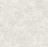 Обои Victoria Stenova 286756 Da vinci