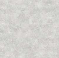 Обои Victoria Stenova 286758 Da vinci