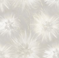 Обои Victoria Stenova 286818 Amazing