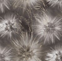 Обои Victoria Stenova 286819 Amazing