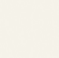 Обои Victoria Stenova 286842 Florida