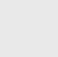 Обои Victoria Stenova 286848 Florida