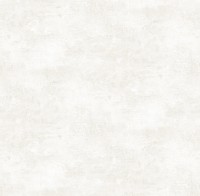 Обои Victoria Stenova 286862 Factory