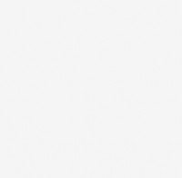 Обои Victoria Stenova 287011 Altai