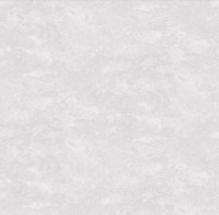 Обои Victoria Stenova 287105 Jungle