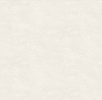 Обои Victoria Stenova 287106 Jungle