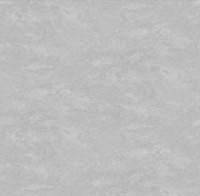 Обои Victoria Stenova 287109 Jungle