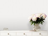 Обои Victoria Stenova 287122 Veronica фото №2 — интернет-магазин Desire.md