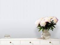 Обои Victoria Stenova 287128 Veronica фото №2 — интернет-магазин Desire.md