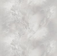 Обои Victoria Stenova 287167 Phantom