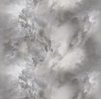 Обои Victoria Stenova 287169 Phantom