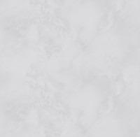 Обои Victoria Stenova 287171 Phantom