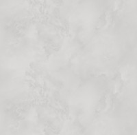 Обои Victoria Stenova 287172 Phantom