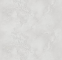 Обои Victoria Stenova 287177 Phantom