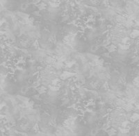 Обои Victoria Stenova 287637 Merano