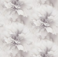 Обои Victoria Stenova 287712 Primadonna